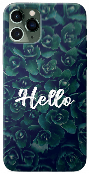 Hello vegetation