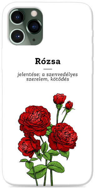 Rózsa, szerelem