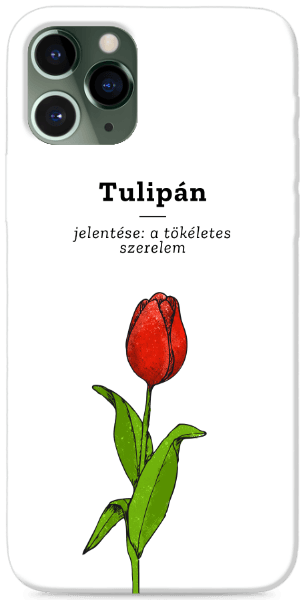 Tulipán, szerelem