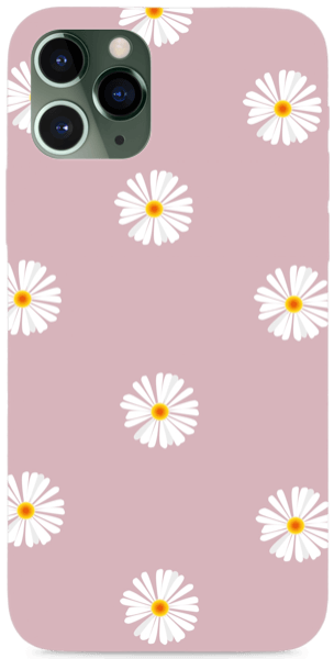 Daisy flower PINK