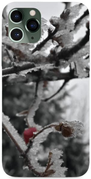 Dér és Fagy násza