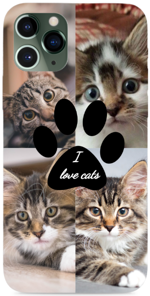 I love cats