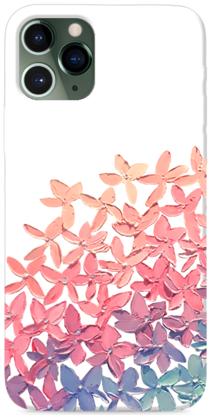Pimpinella