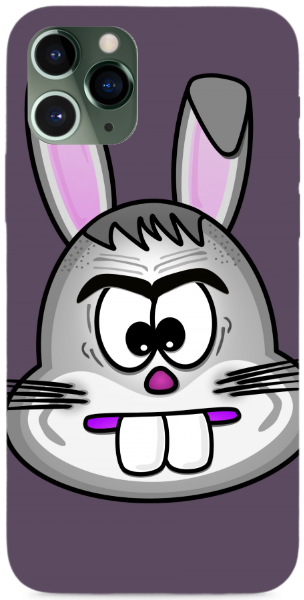 Funny Bunny