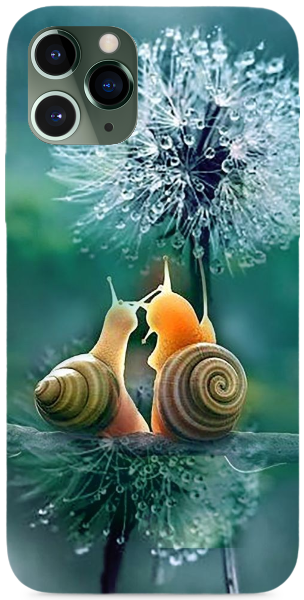 Csiga szerelem