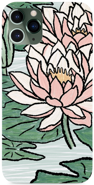 Waterlilly