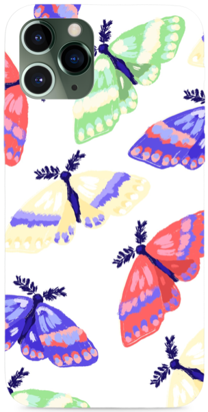 Colorful butterfly