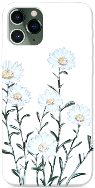 fehér kisvirágok átlátszó háttérrel