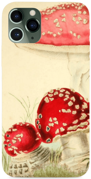 Piros kalapú gombák vintage gomba illusztráció