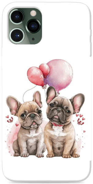Francia bulldog