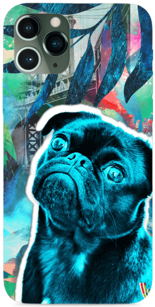 Pug (MenzArt)