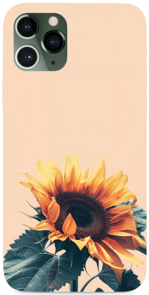 Sun flower