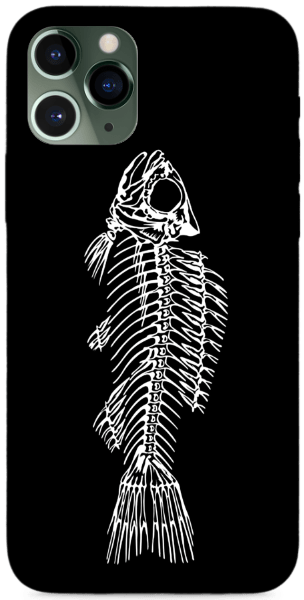 Fish skeleton
