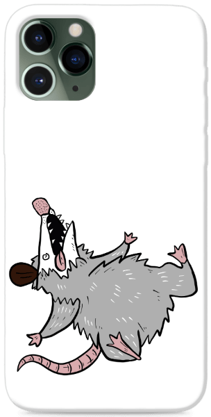 Died Opossum
