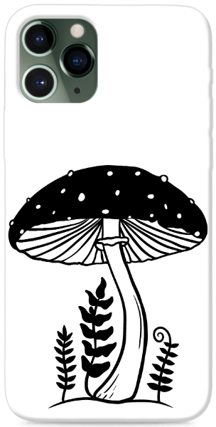 Fekete gomba botanikus