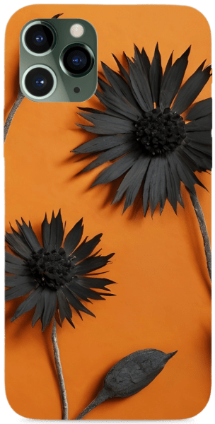 Fekete-narancs szárazvirág